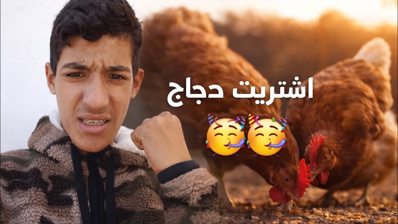 اشتريت دجاج 🐓🥳🥳.اول يوم في المحتوى الجديد المزرعة ♥️
