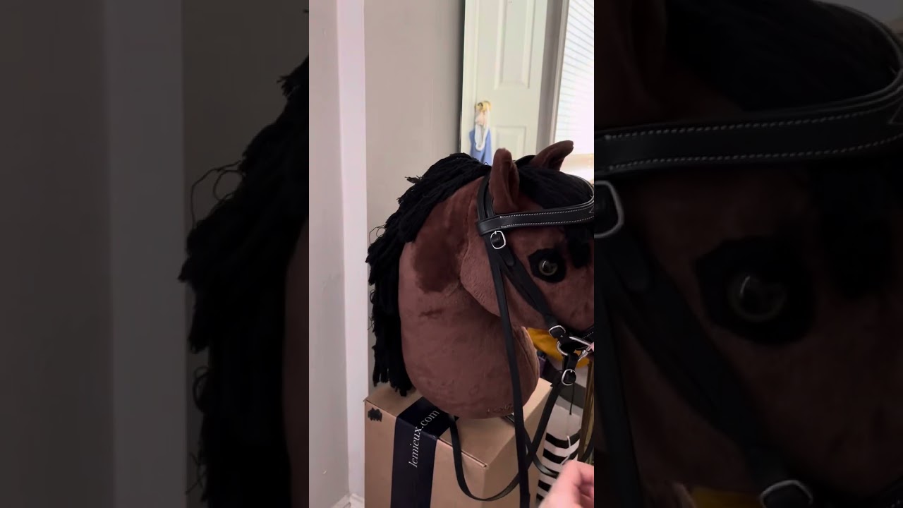How to put on a Lemieux hobby horse bridle ￼