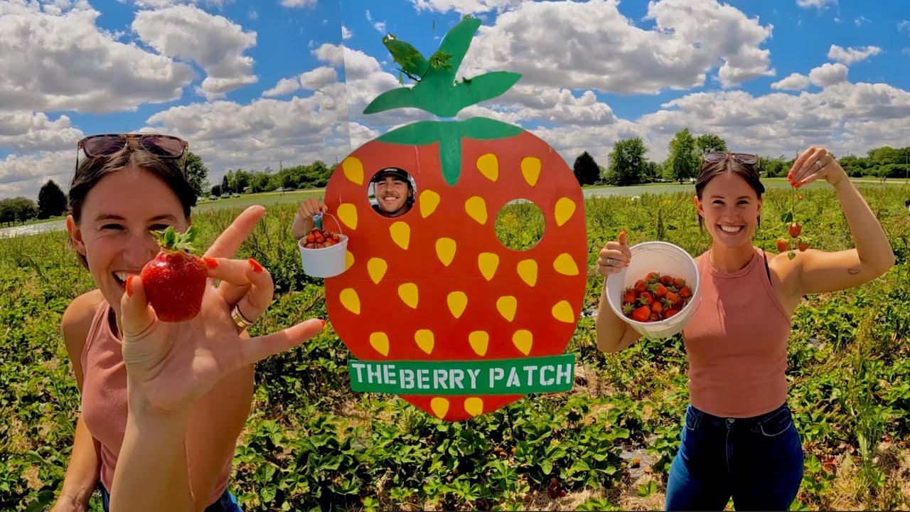 The Berry Patch