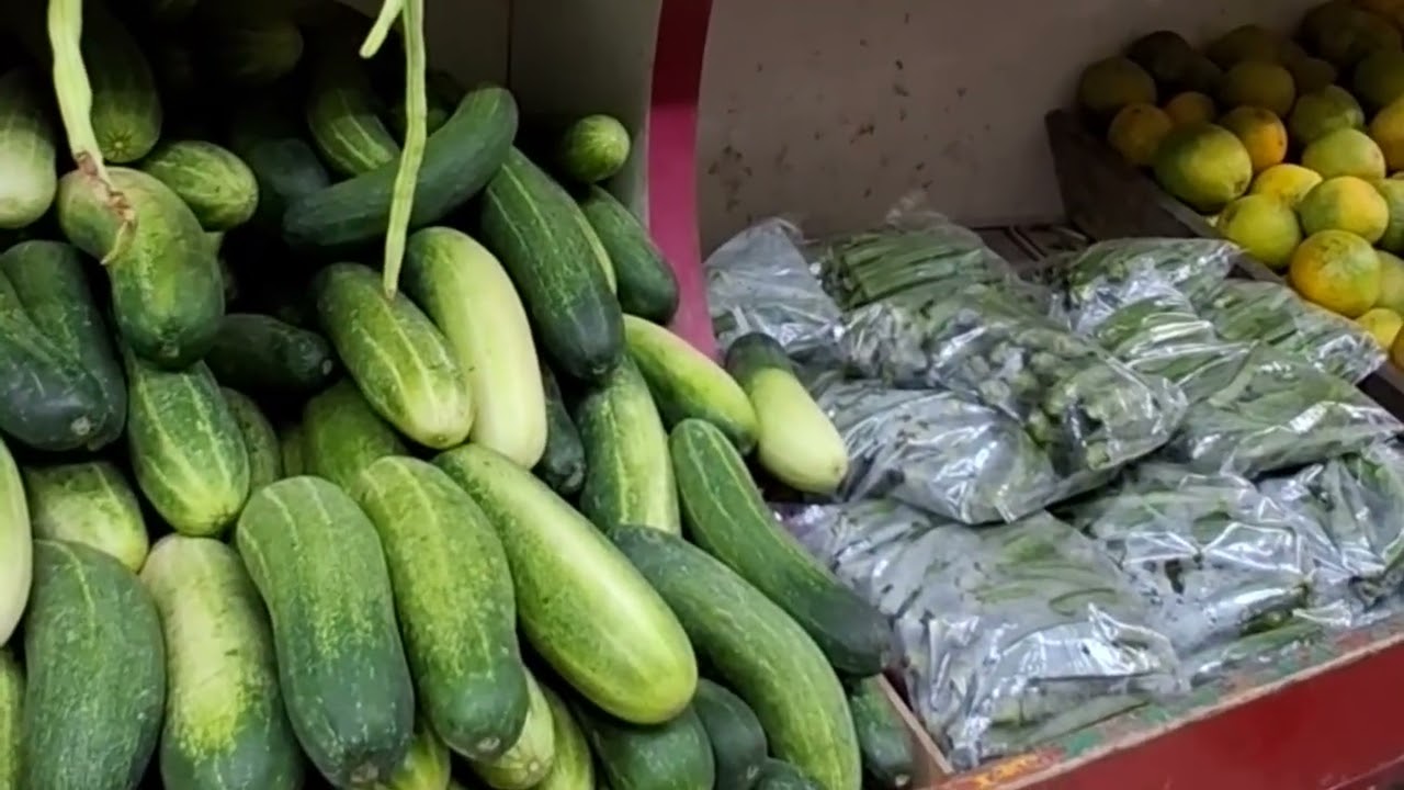 First Morning in Bangalore | Mini Vlog | New City Life #ytstudio #ytstudioes #viral #trending