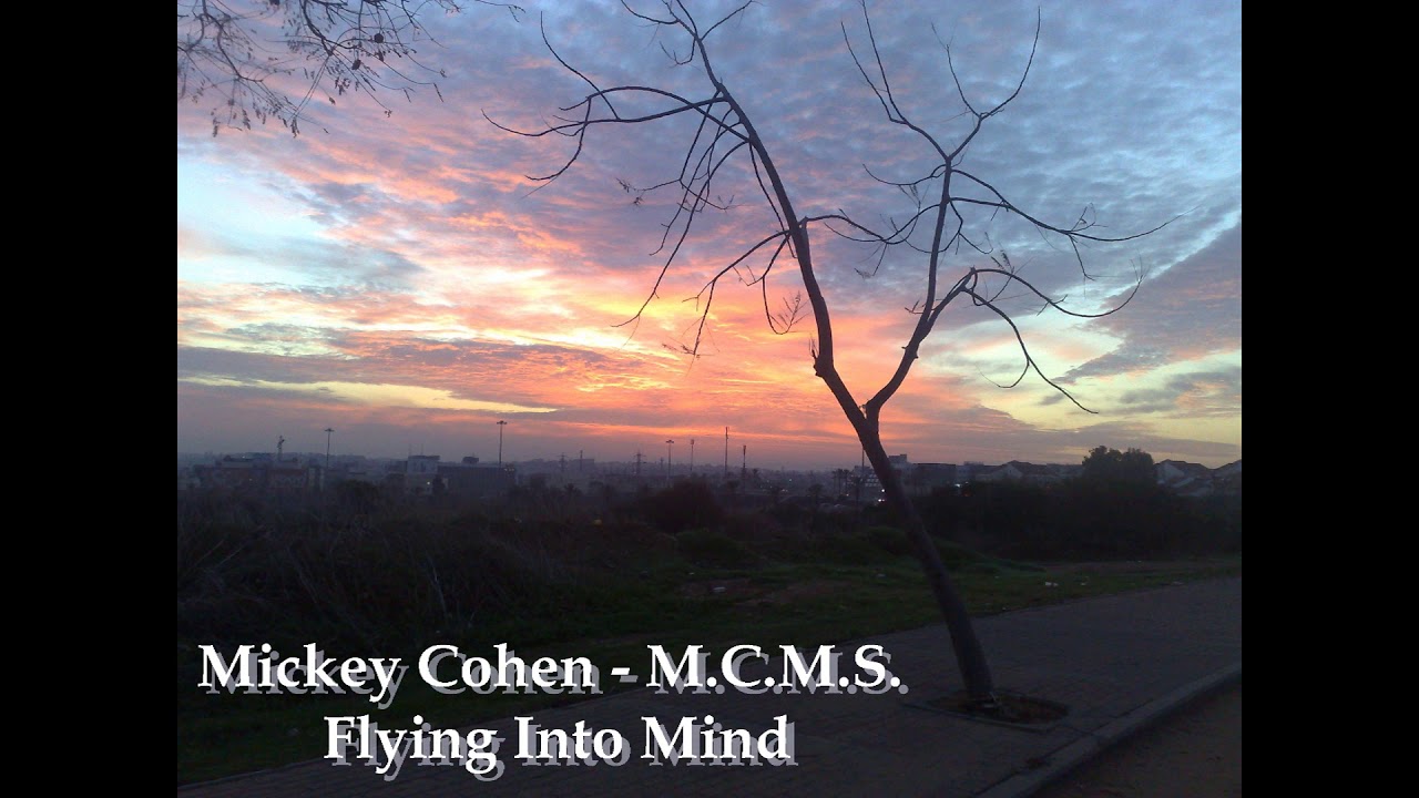 Mickey Cohen - Flying Into Mind