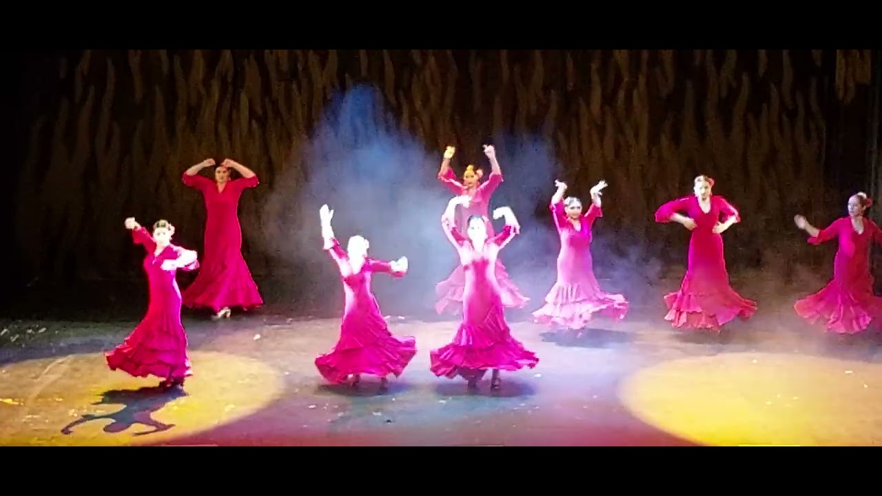DANZA DEL FUEGO. Academia Anise Feres
