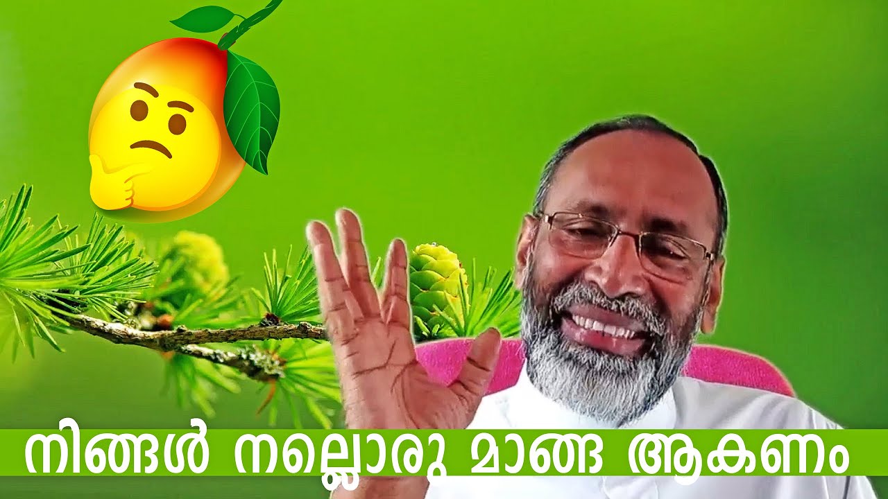 നിങ്ങൾ നല്ലൊരു മാങ്ങ ആകണം...