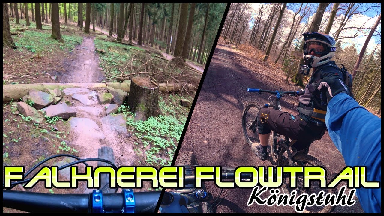 TRAILCHECK: Falknerei Flowline | Heidelberg - Königstuhl | Trailstürmer [4K]
