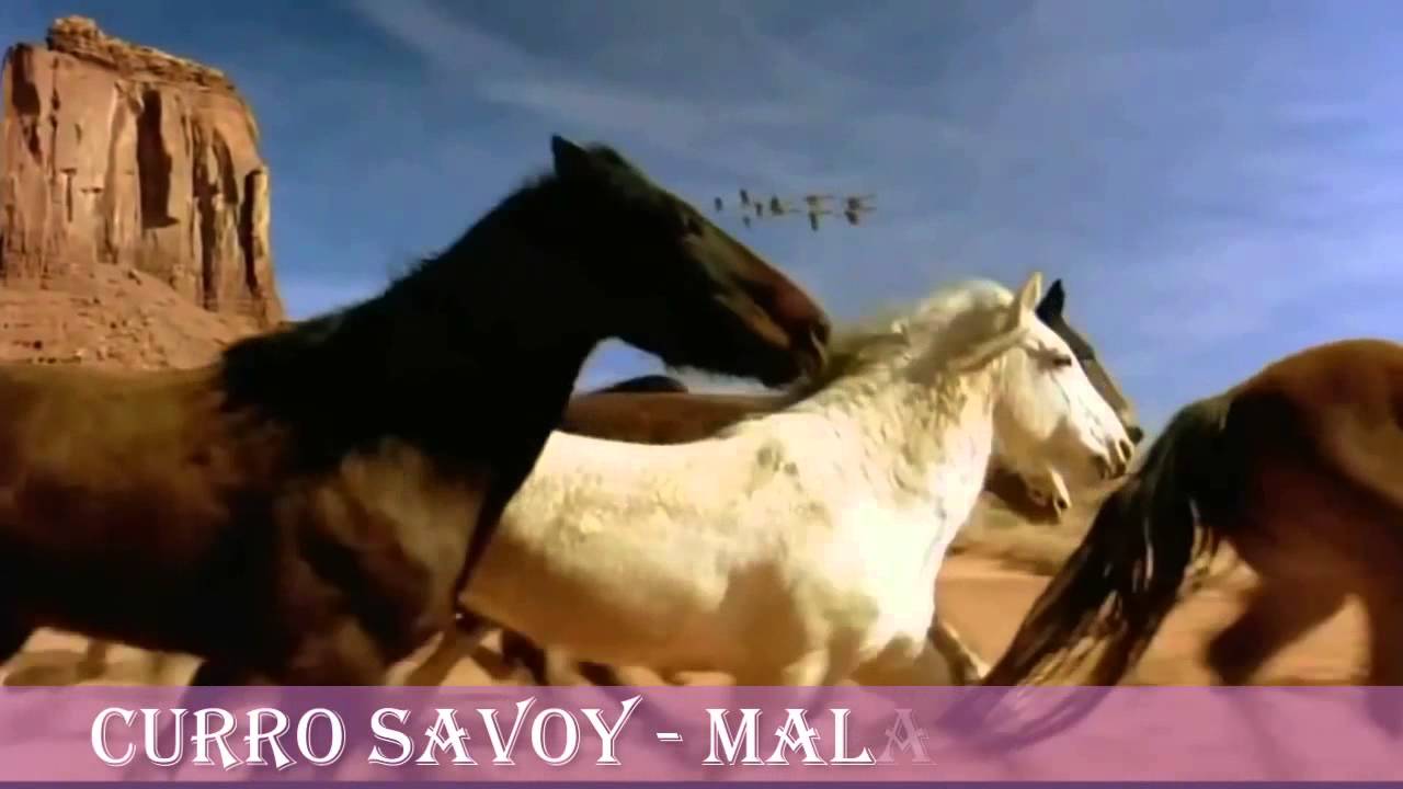 MALAGUEÑA - KURT SAVOY (CURRO)
