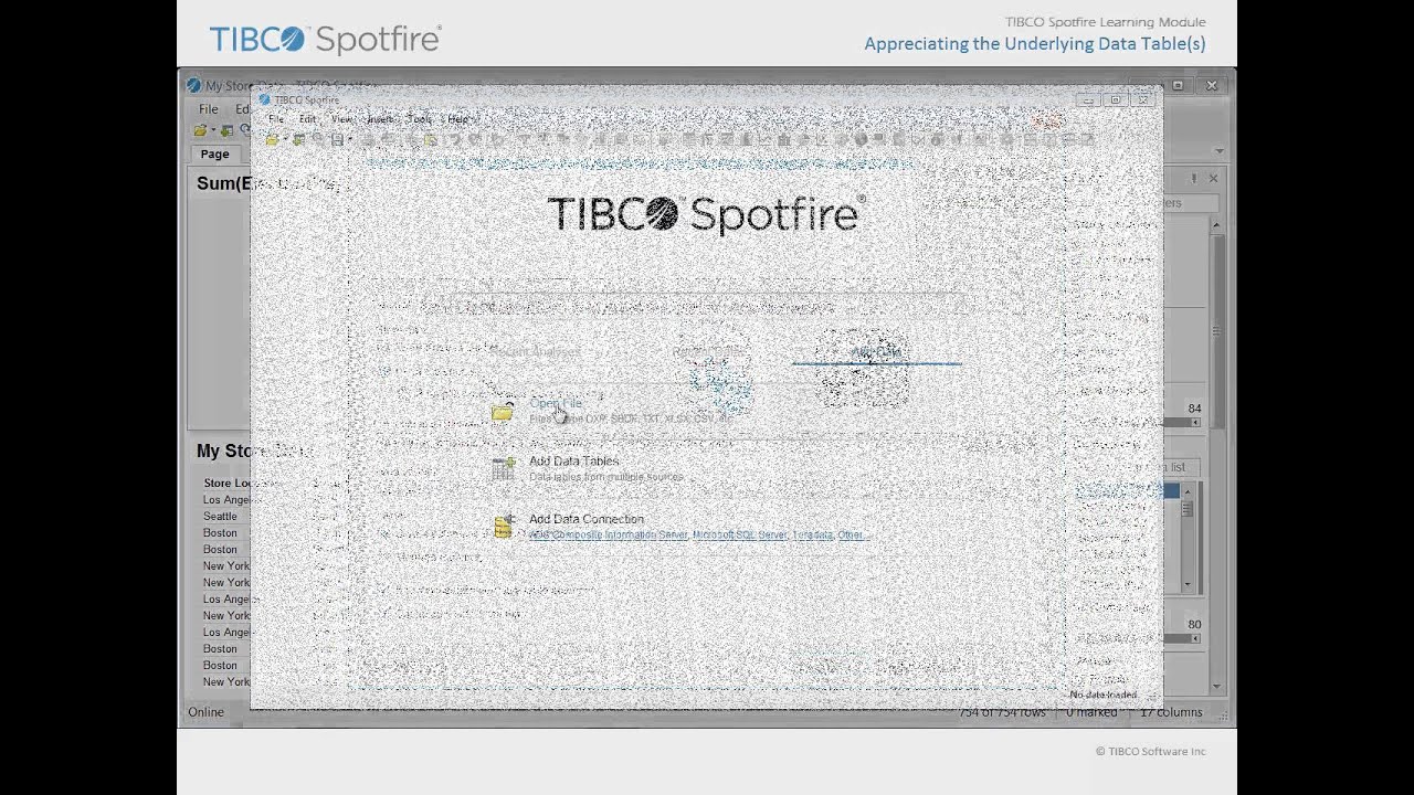 Appreciating the Underlying Data Table(s) - Spotfire