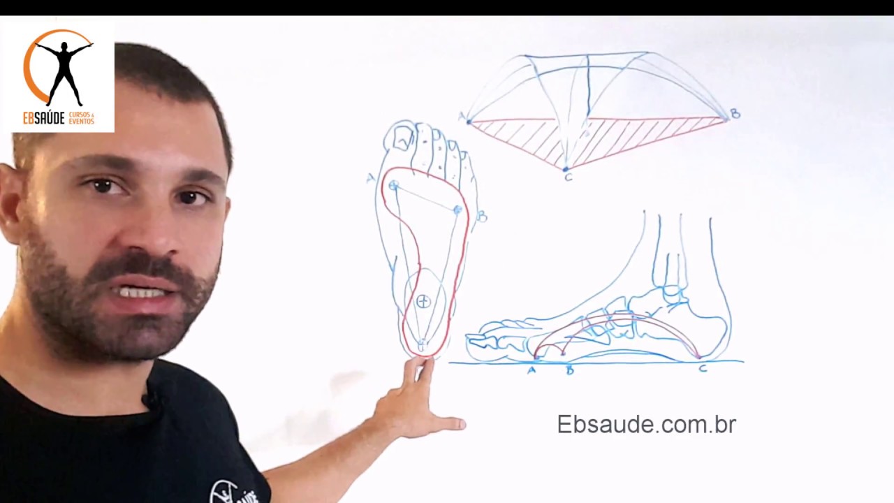 Abóboda do pé, os arcos funcionais