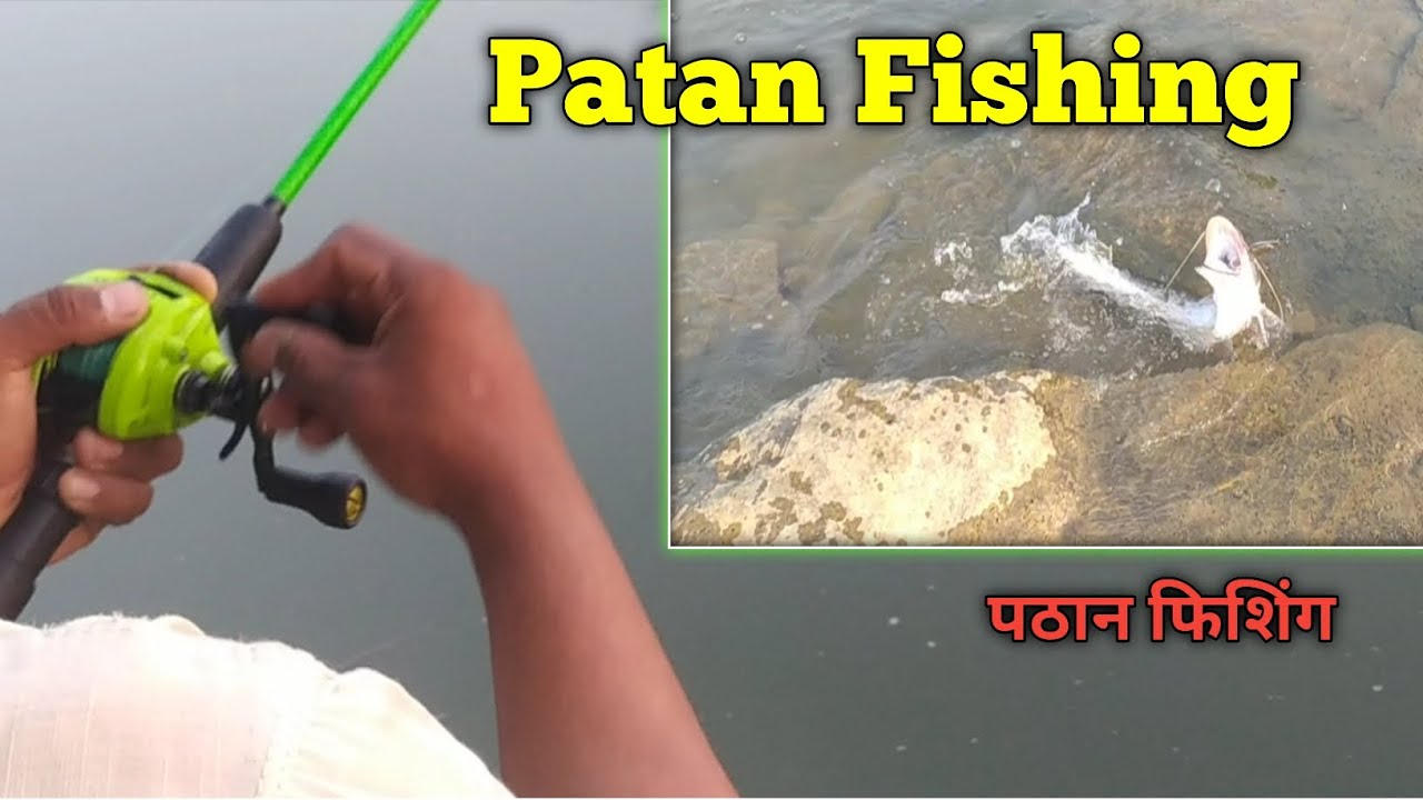 Patan fishing/patan fish/patan fish caching/patan fish hunting/fishing videos/@aiafishing