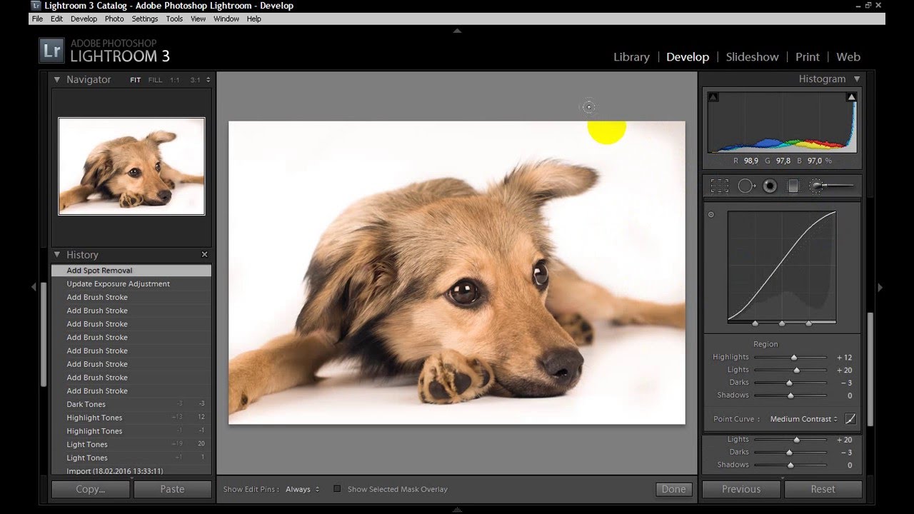 Урок Lightroom как выбелить белый фон