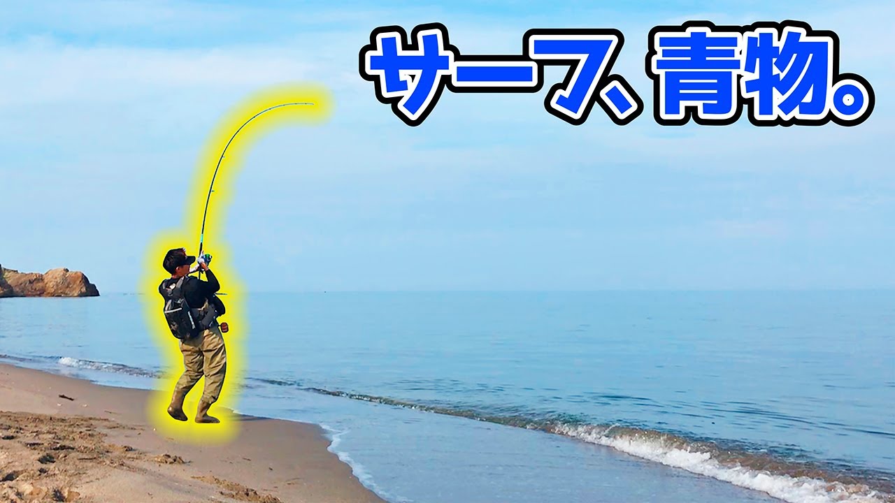 ○○サーフで青物が連発！？