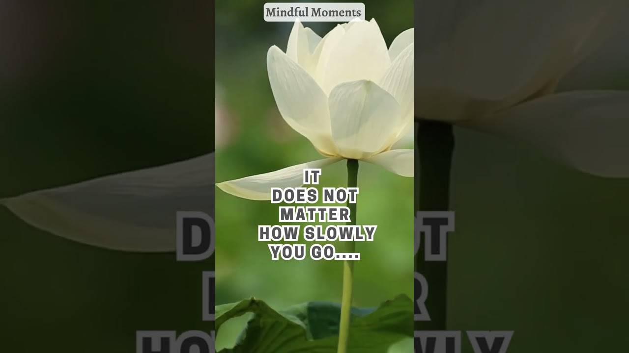 15 seconds of mindfulness: daily inspiration for a better day