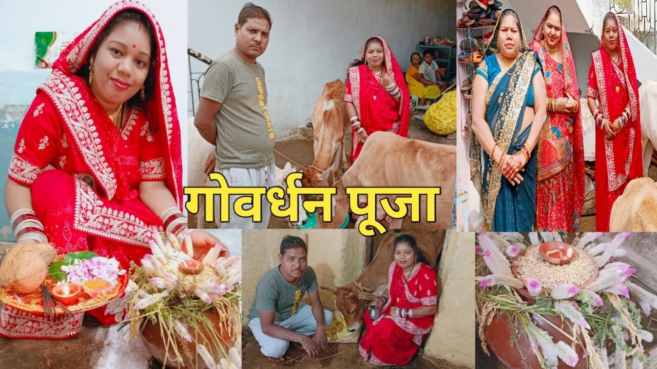 हमर घर गोवर्धन पूजा ऐसे होथे संगी हो || गोवर्धन पूजा ब्लॉग पार्ट - 2 ||cg vlogger Mamta||cgbahumamta