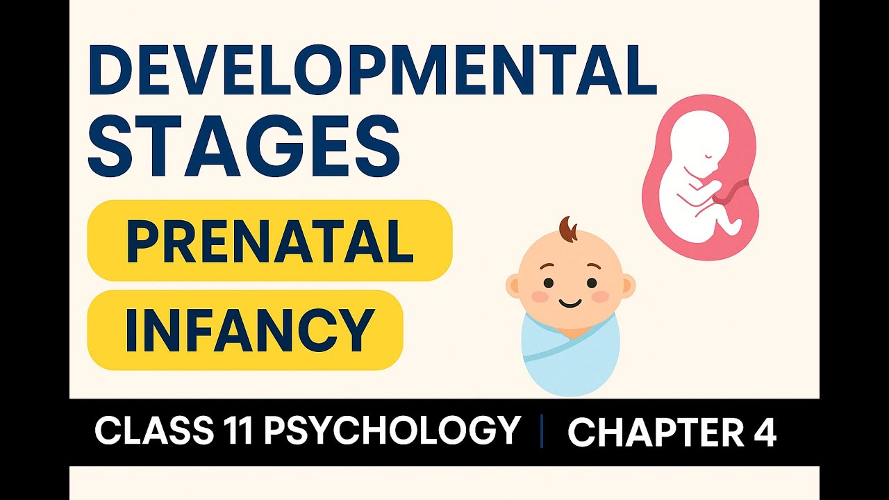 Overview of Developmental Stages | Prenatal & Infancy | Class 11 Psychology Chapter 4 Explained