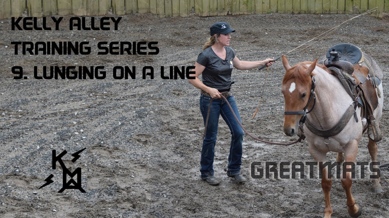 How to Lunge a Green Horse on a Line - Training Series