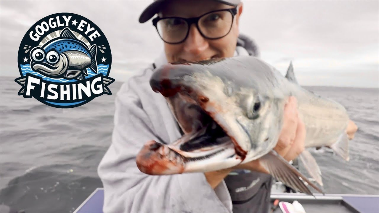 Chum & Coho Rodeo | Puget Sound Salmon Fishing | October 18, 2025