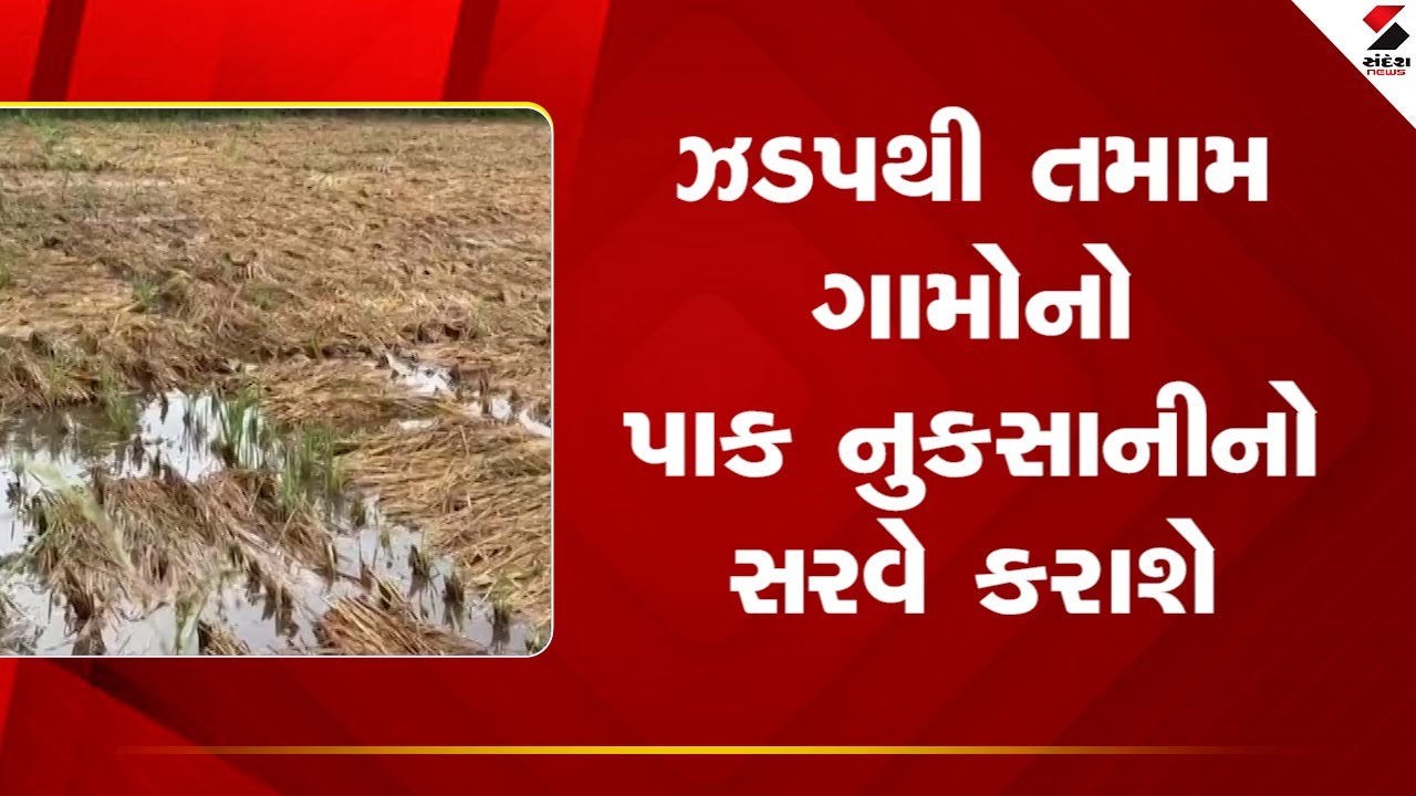 Gujarat | ઝડપથી તમામ ગામોનો પાક ગણતરીનો સરવે કરાશે | Rapid Survey | Sandesh News