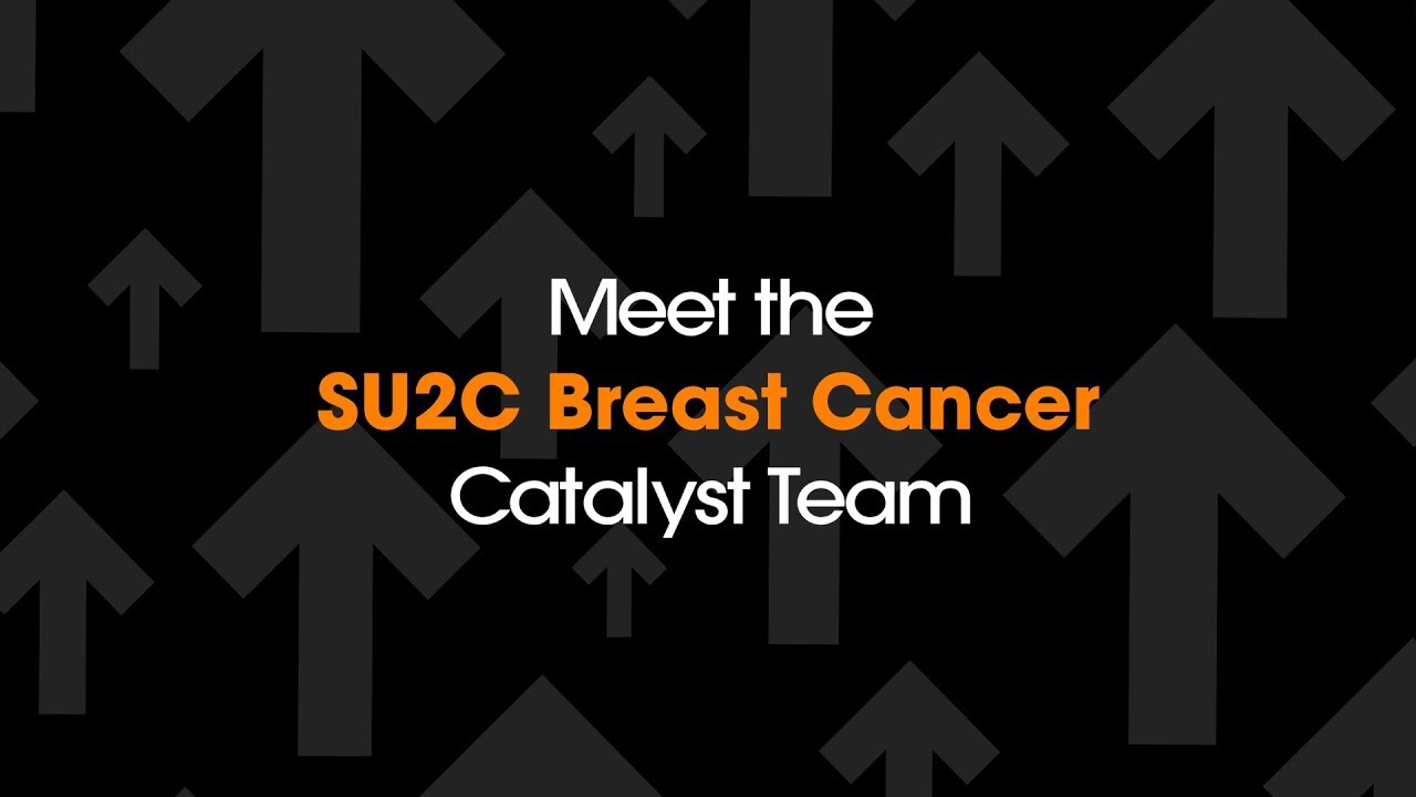 Meet the SU2C Breast Cancer Catalyst&reg; Team