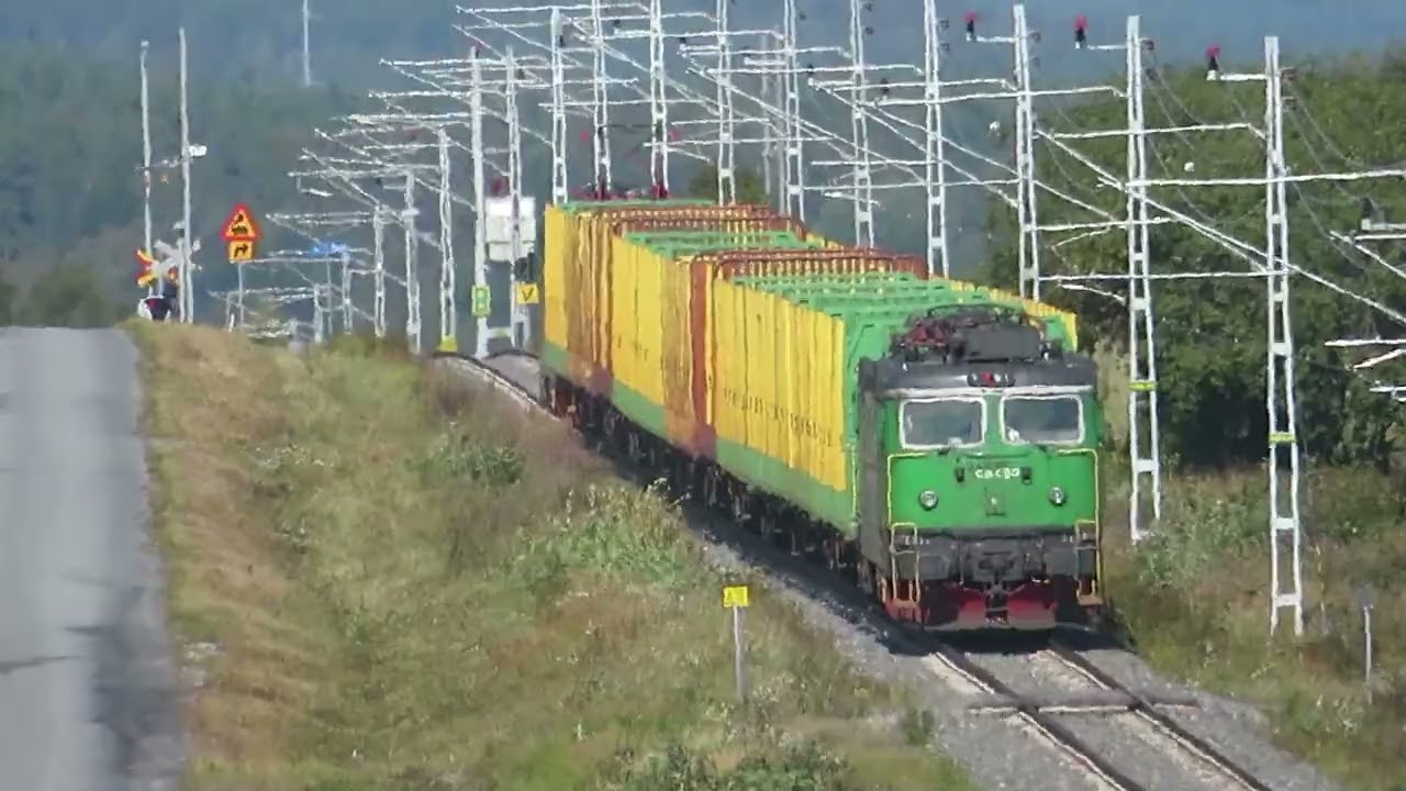 Green Cargo Timmertåg Bollstabruk - Prästmon 31aug25