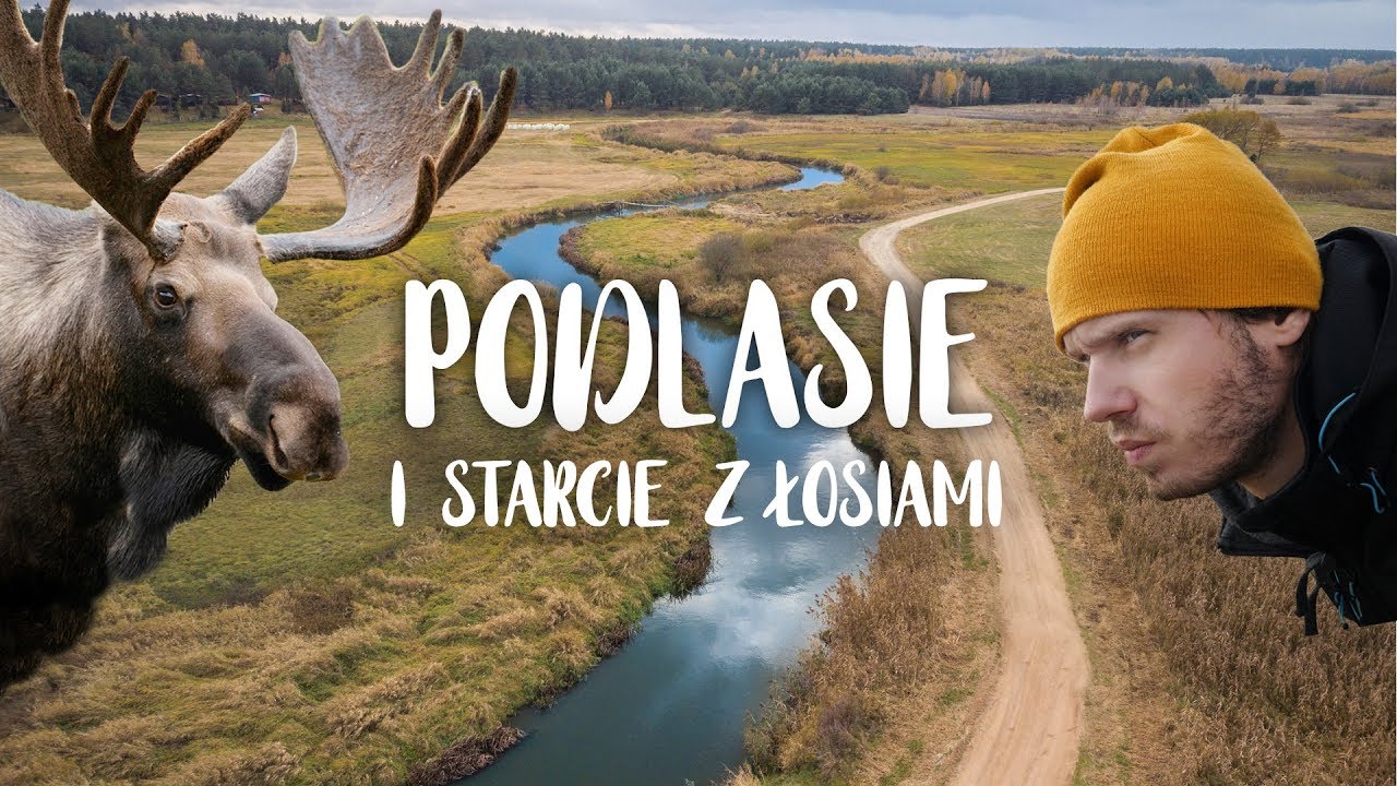 Podlasie - najciekawsze miejsca. Wielkie poszukiwanie ŁOSI! 🔎🌲🌲🌲