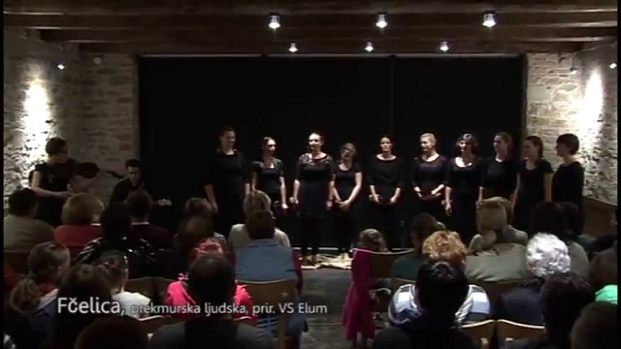 Vokalna skupina ELUM Fčelica
