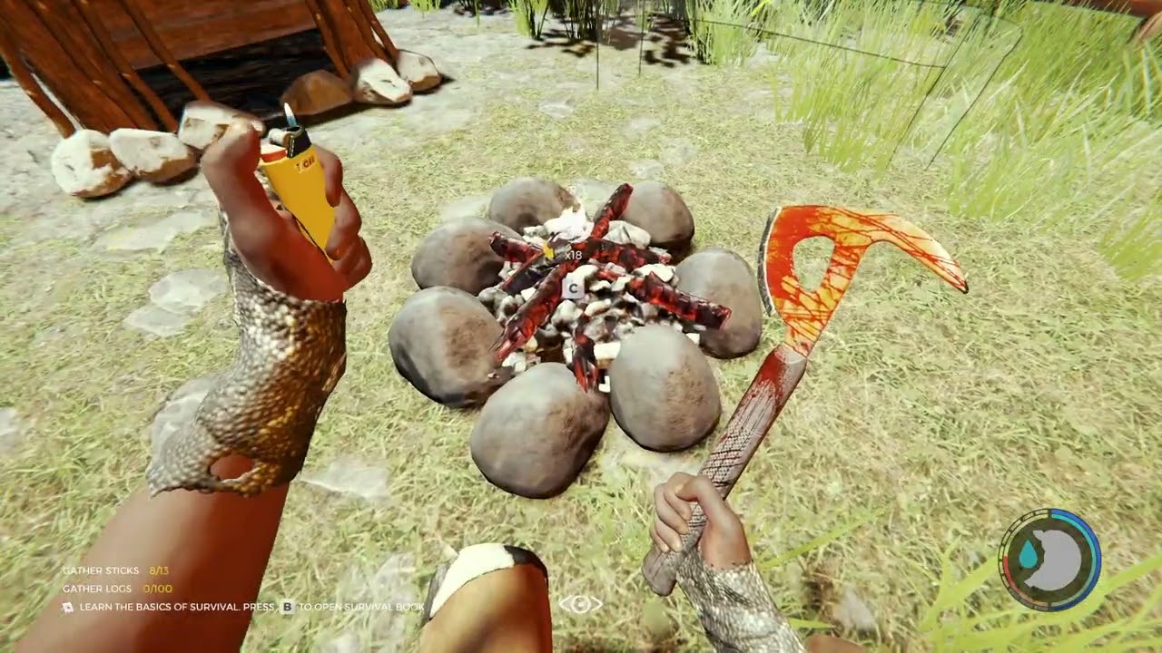 the forest with friends