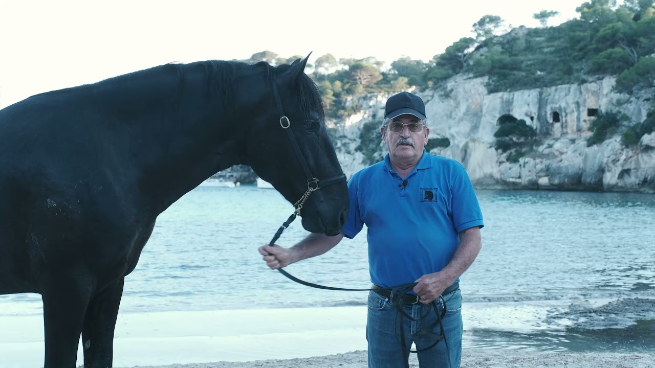 CRISTOBAL MARQUÉS - CHEVAL MENORQUÍN (FRANÇAIS)