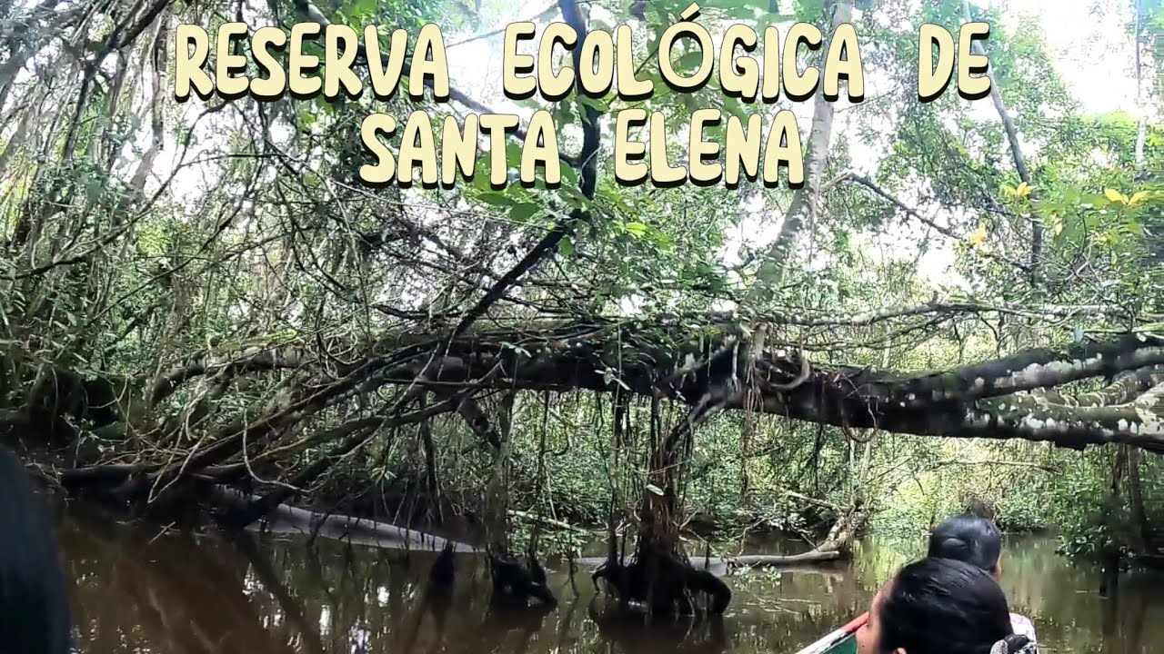 NAVEGAMOS en una BALSA para conocer la RESERVA ECOLÓGICA DE SANTA ELENA en RIOJA