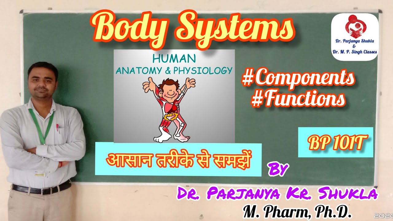 Body Systems | Components and Functions of Human Body Systems | HAP-1 | BP 101T