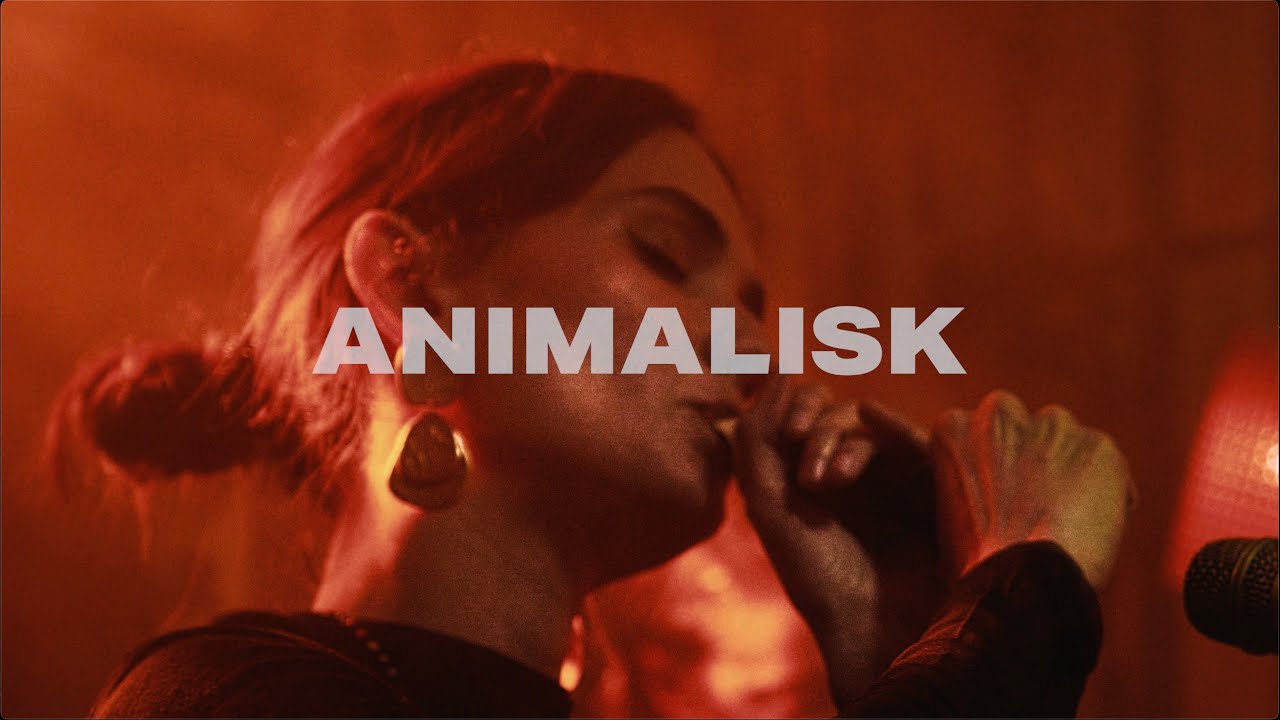 Fauna - Animalisk