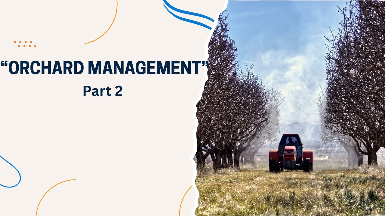 Orchard Management Part 2