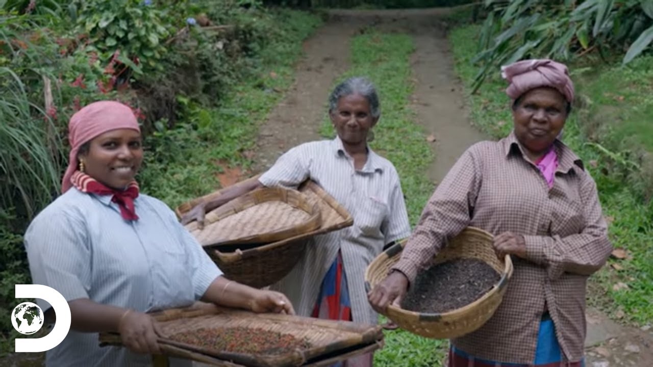 El Viaje de La India - La tierra de los sabores | Discovery Latinoamérica