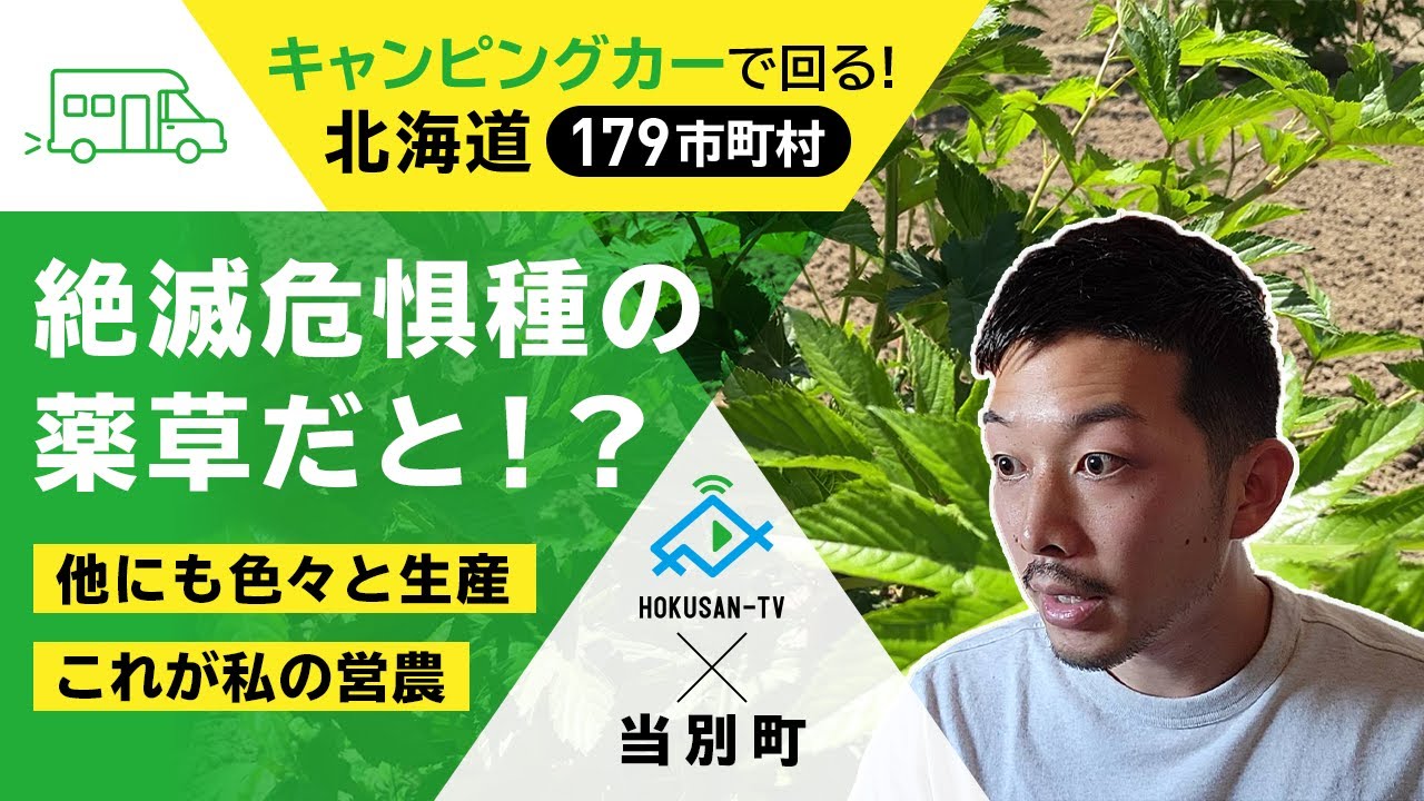 【当別町】これが絶滅危惧種の薬草…～北海道キャンピングカー冒険 90/179市町村