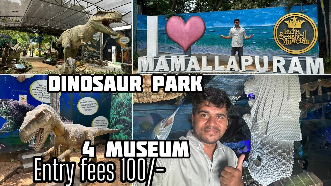 India seashell museum Mahabalipuram