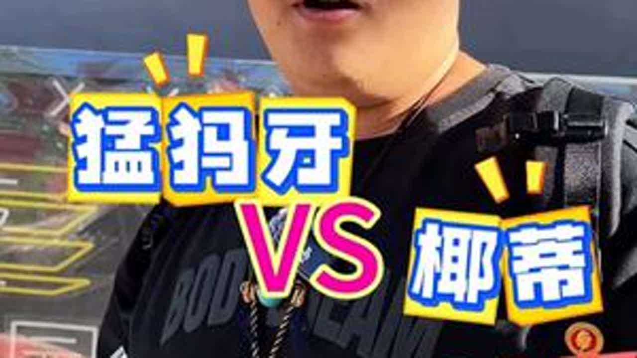 极品猛犸牙合极品椰蒂，到底谁才是百搭之王 猛犸象牙 椰蒂 手串 文玩爱好者 潘家园