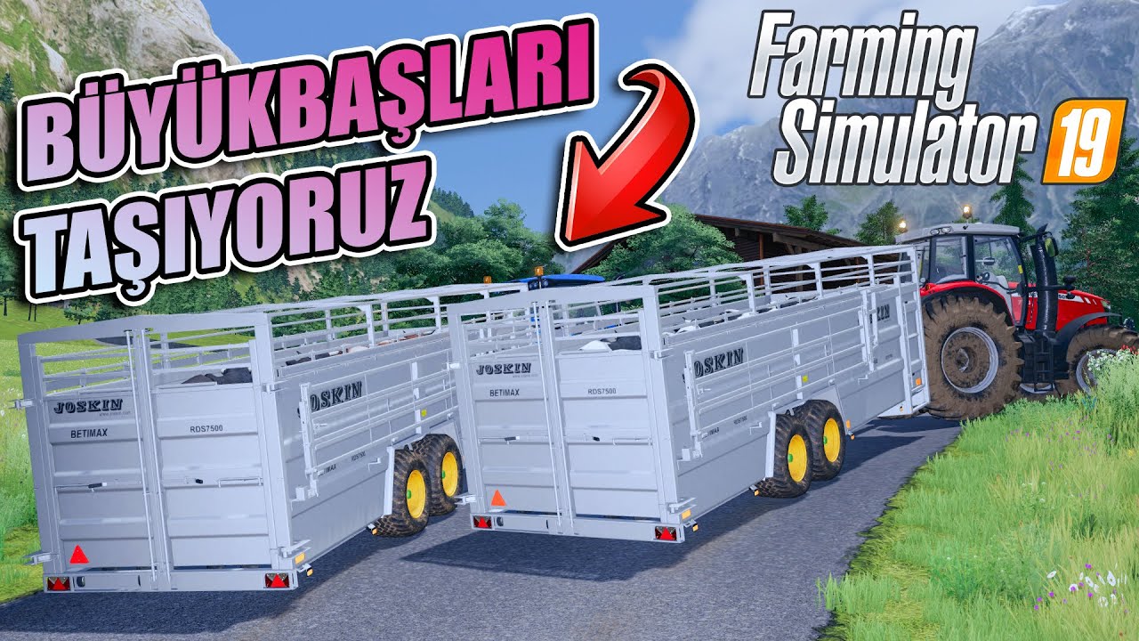 BÜYÜKBAŞ HAYVANLARI TAŞIYORUZ // BALYALARI TOPLUYORUZ !!