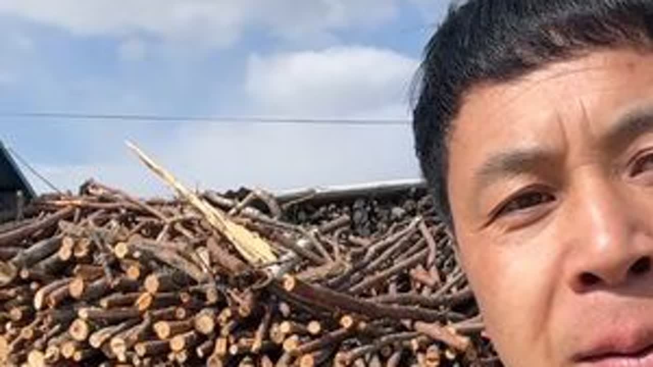 家里又新捡了这么多烧火材，父母从来不舍得子女挨累，都没叫我去