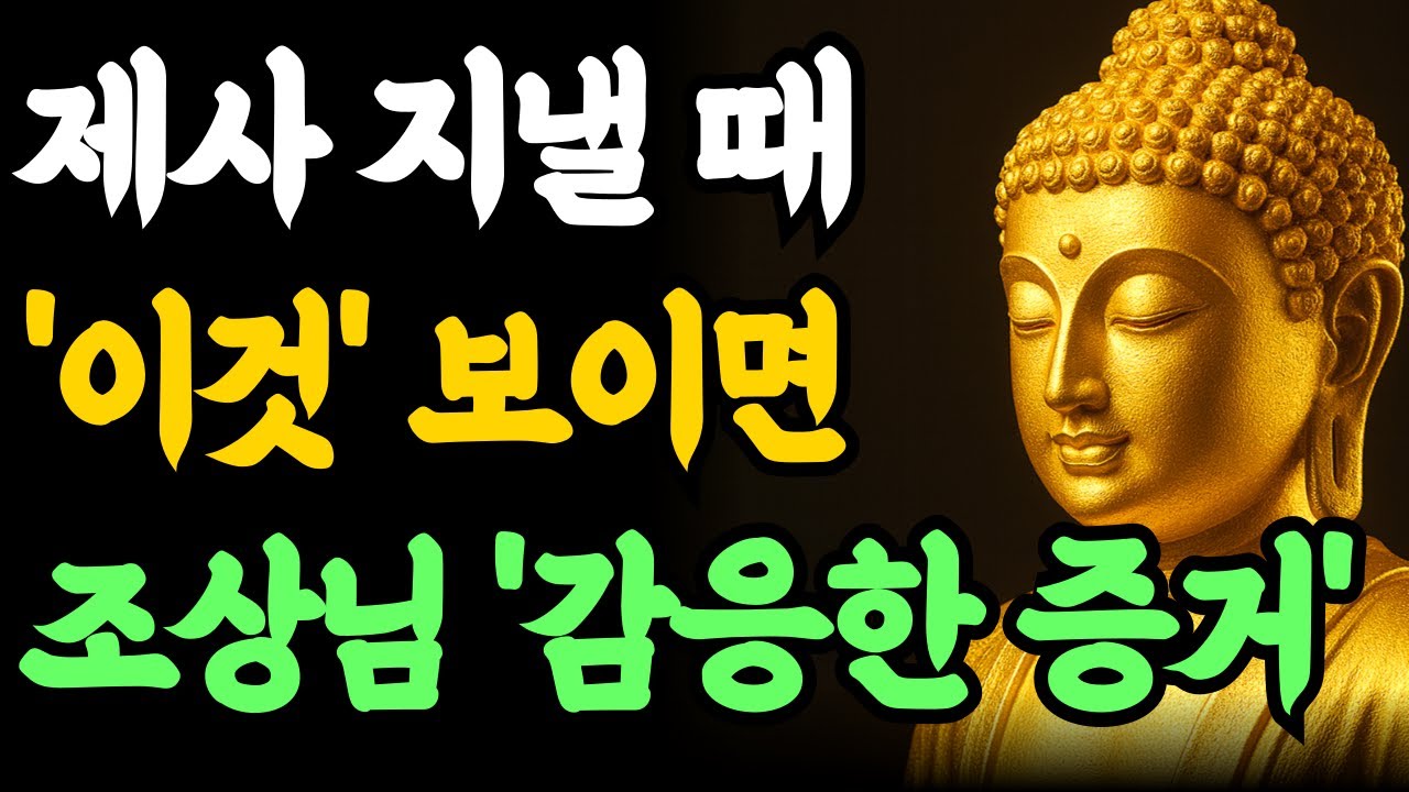 부처님 말씀 | 제사상에 '이것' 나타나면 .조상님이 밥 드시고 갔다는 확실한 증거 4가지