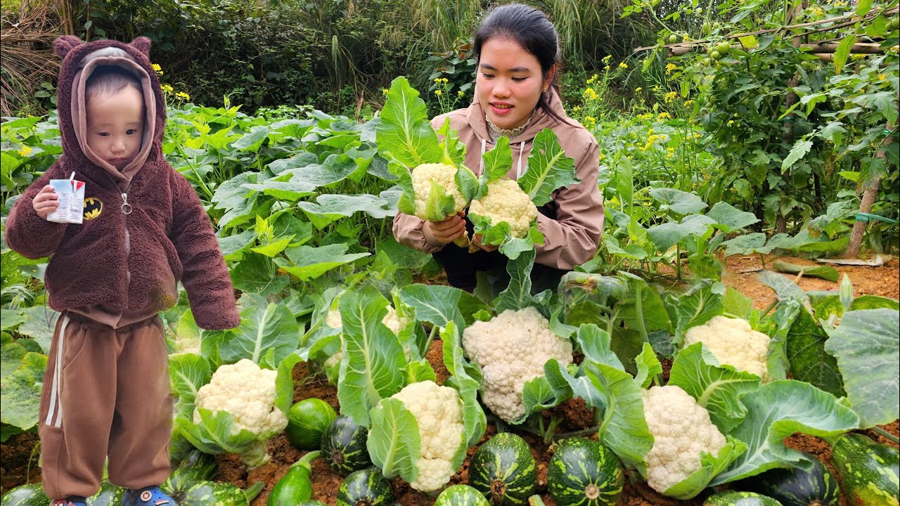 Harvesting Pumpkins and Rare Cauliflower for the Market | A Simple Meal After a Hard Day