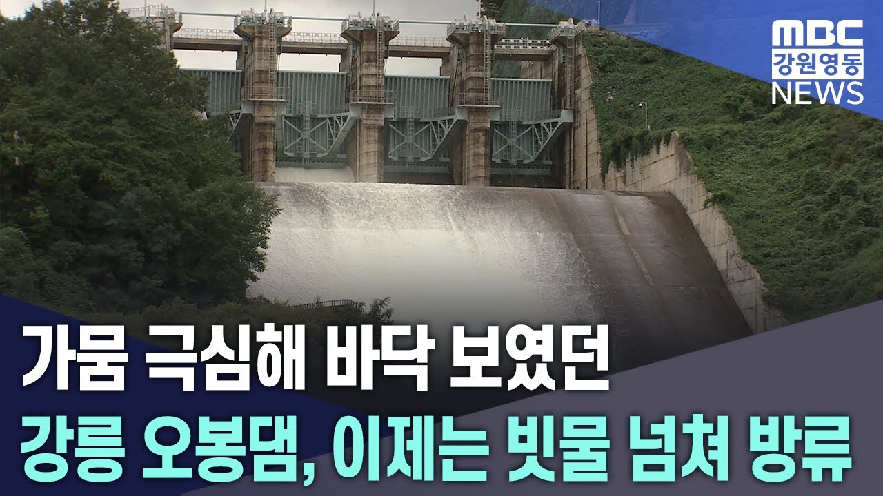 가뭄 극심해 바닥 보였던 강릉 오봉댐, 이제는 빗물 넘쳐 방류 20251010