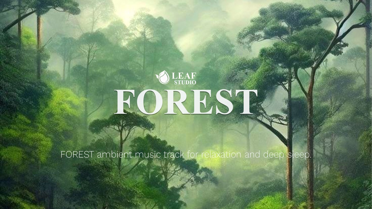 FOREST. Relaxing Nature Sounds & Peaceful Music