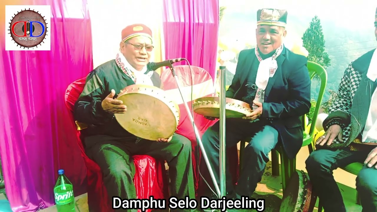 दार्जीलिंगको यो डम्फू तामांग दस्तूर / Tamang Damphu Selo / Tamang Culture / Damfoo Damfoo /