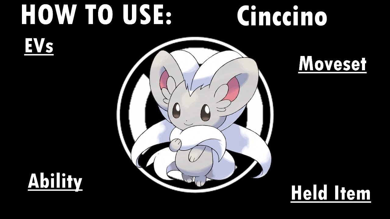Competitive Guides- How To Use Cinccino