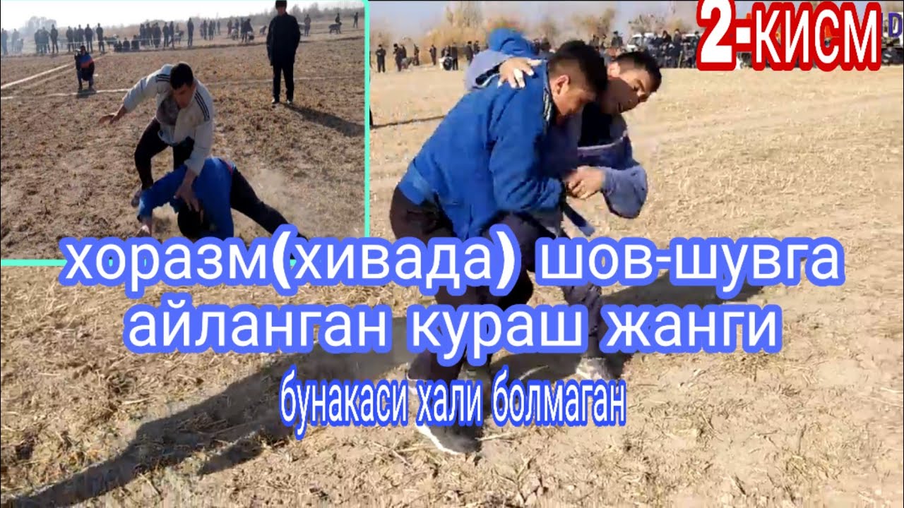 кураш ли катта той хоразмда шов шувга айланган  28 ноября 2019 г.