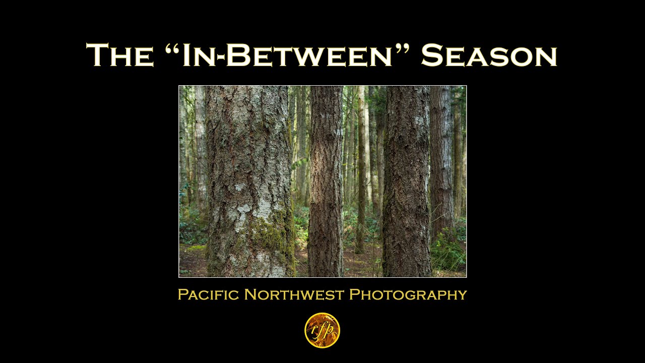 What to photograph when there's 