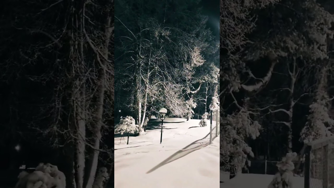vinter time in Norway 