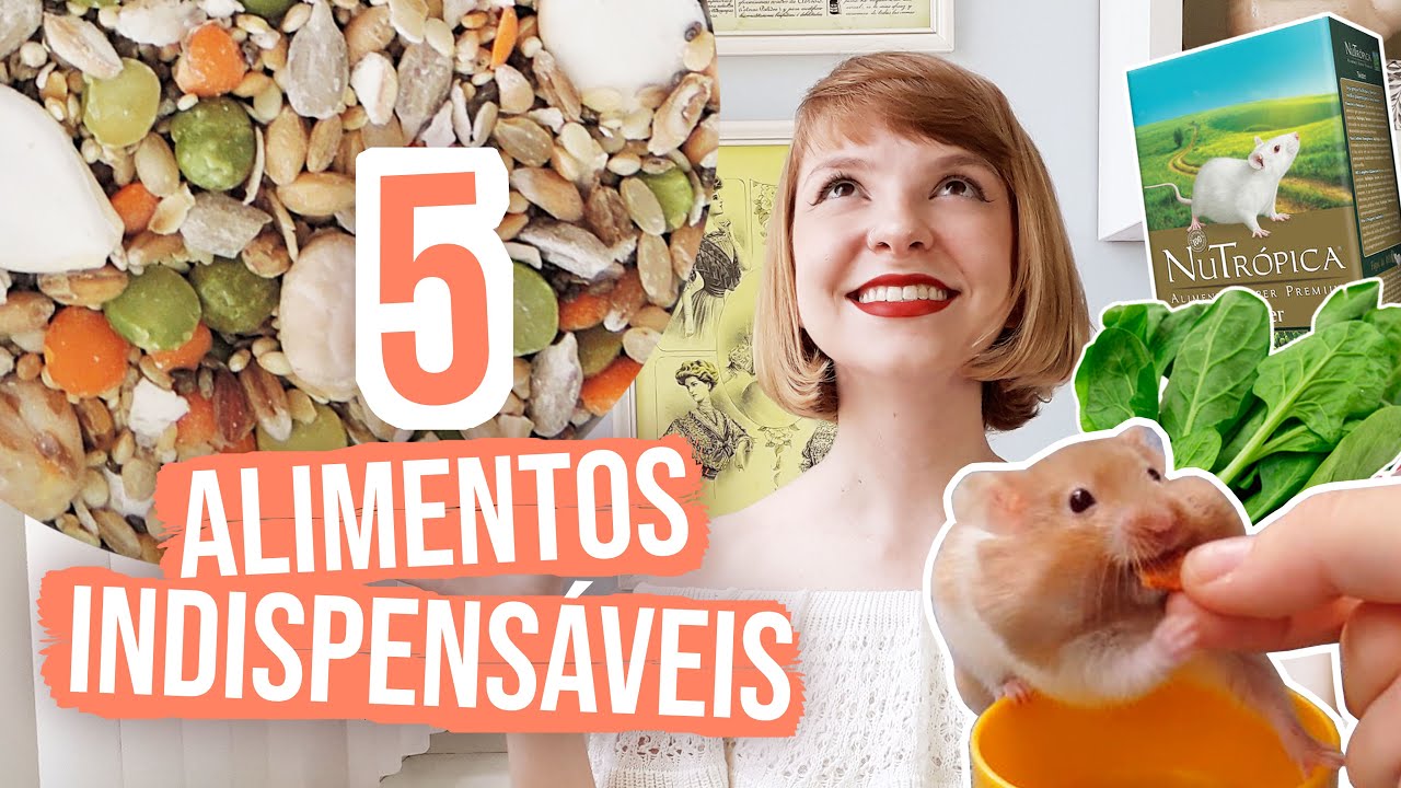 5 alimentos indispensáveis na dieta do seu hamster