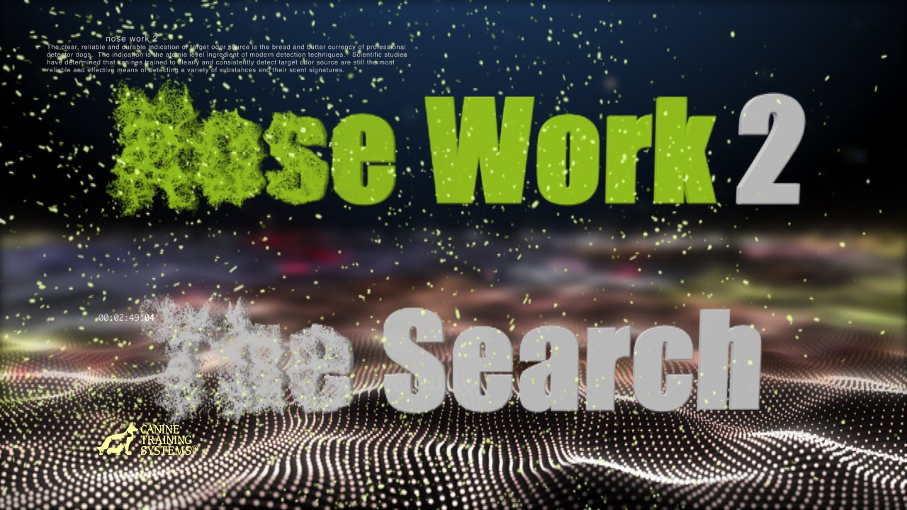 Training Through Pictures with Dave Kroyer - Nose Work 2 - The Search