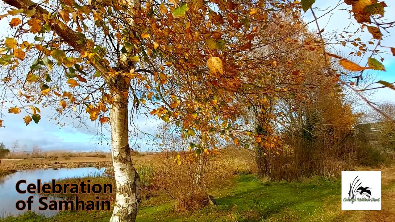 Samhain