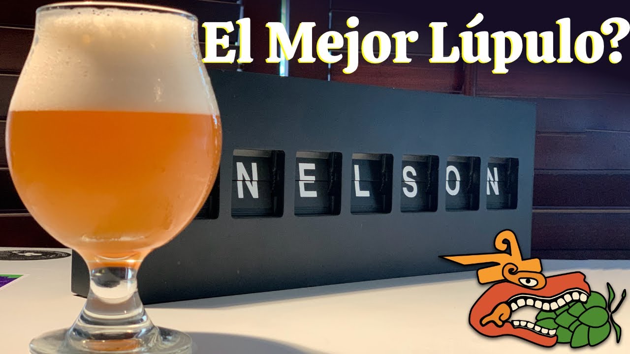 ¿Es Nelson Sauvin el mejor lúpulo para Cerveza NEIPA?