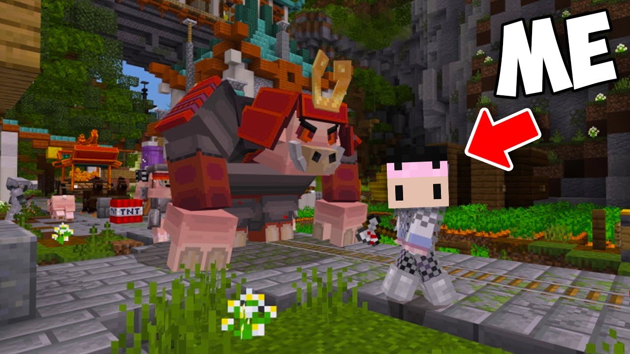 Minecraft but I PROTECT Custom Monsters..